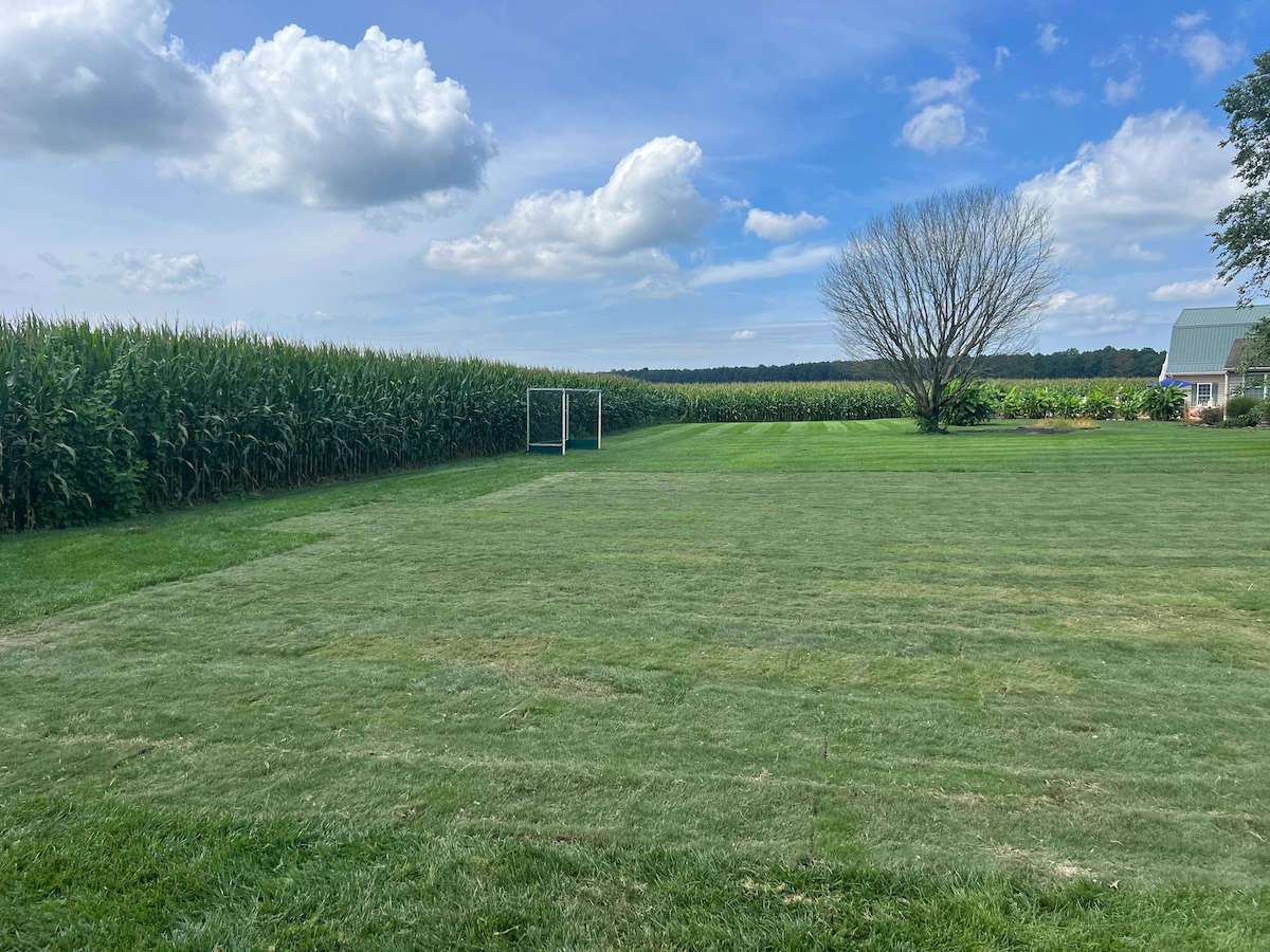 Large rural lawn after Lawn Renovations compost top dressing by Harvest Turf Care in Sussex County DE