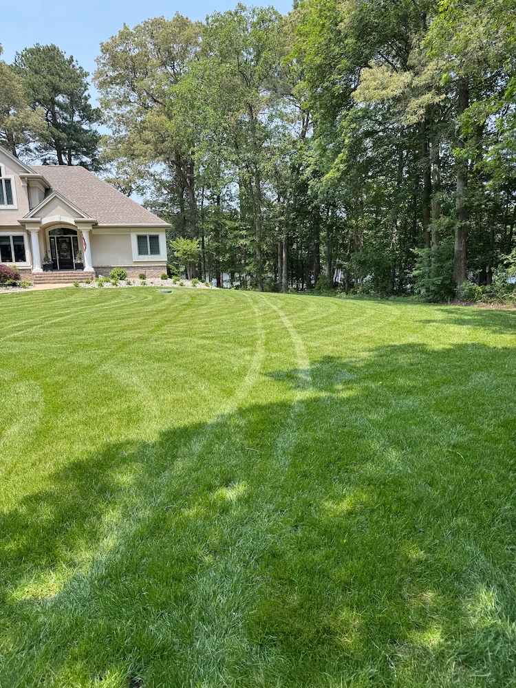 Green striped lawn beside home with wooded background