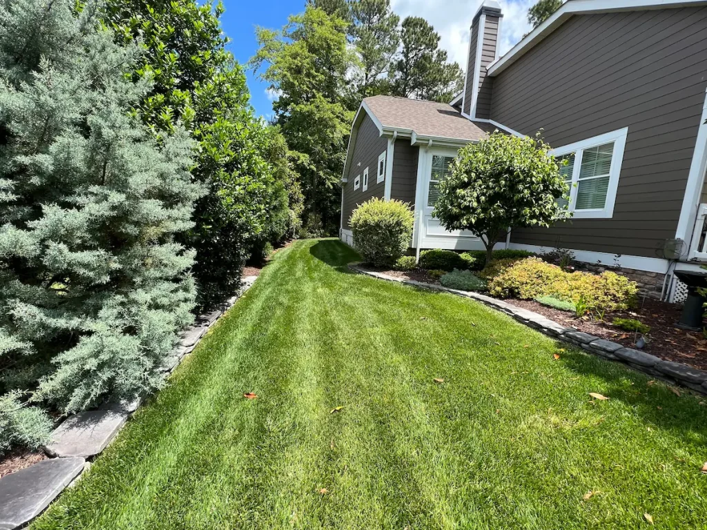 Neatly edged side lawn with shrubs and stone border by Harvest Turf Care in Sussex County DE