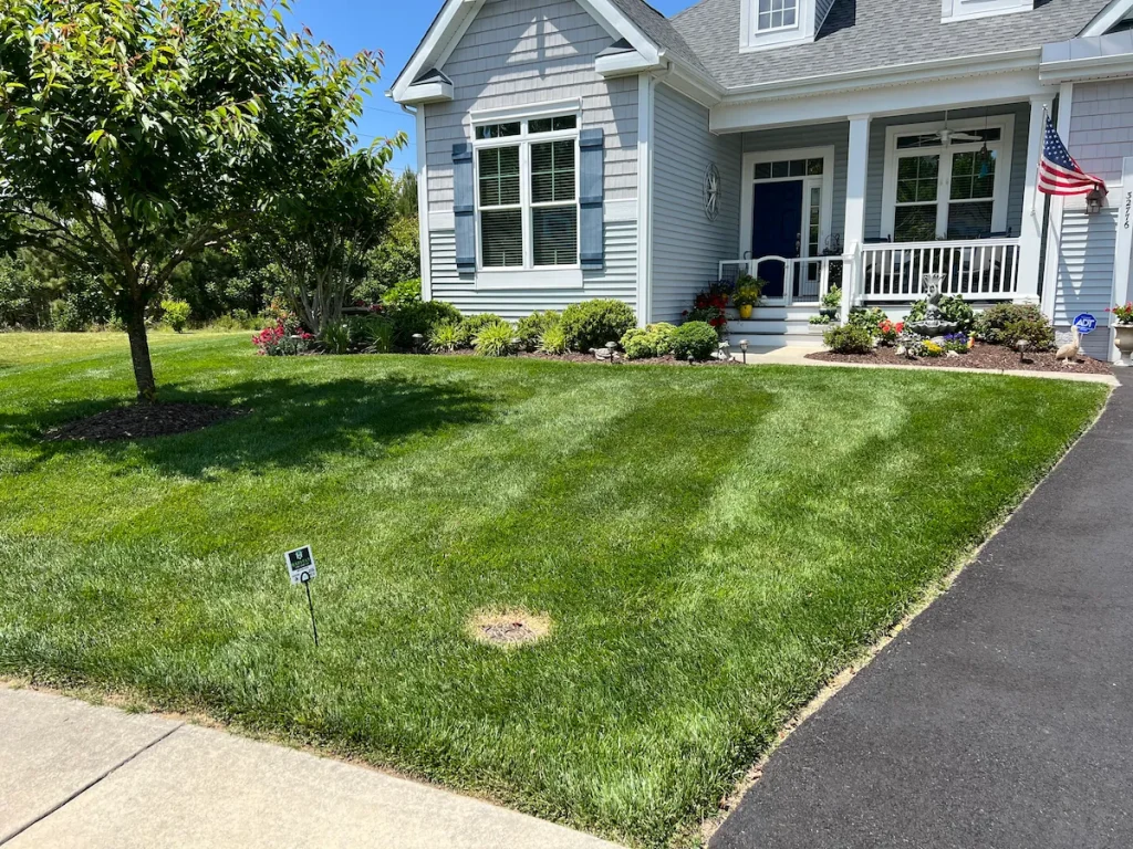 Thick green front lawn with visible striping by Harvest Turf Care in Sussex County DE