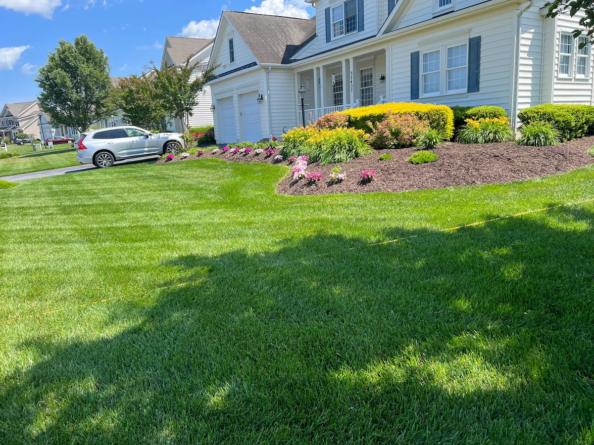 Vibrant green lawn Harvest Turf Care Sussex County DE