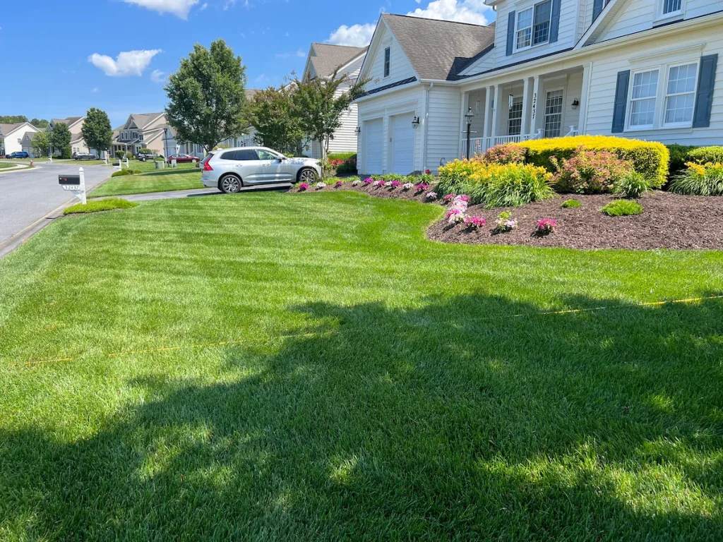Neatly striped front lawn with landscaped flower beds by Harvest Turf Care in Sussex County DE