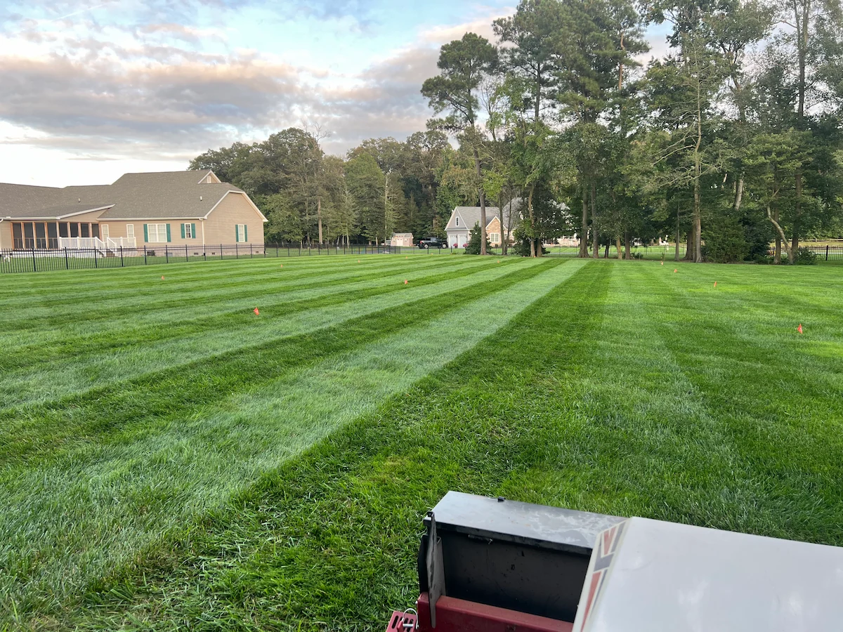 Deep green striped lawn Harvest Turf Care Sussex County DE