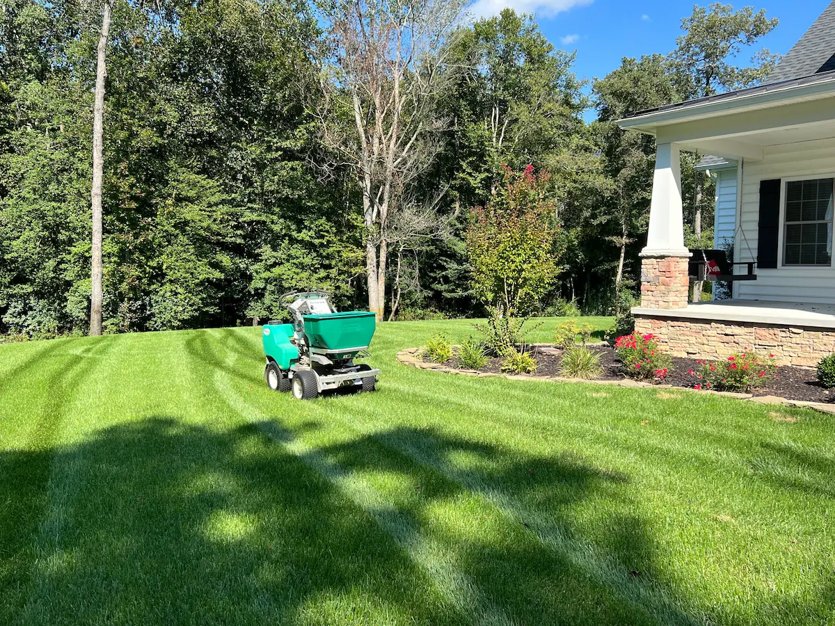 Aeration and overseeding machine working on striped lawn for Aeration & Overseeding by Harvest Turf Care in Sussex County DE