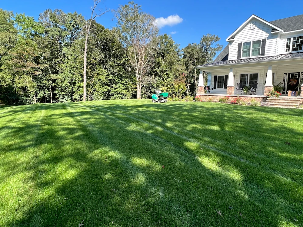 Striped residential lawn with aeration and overseeding service in progress for Aeration & Overseeding by Harvest Turf Care in Sussex County DE