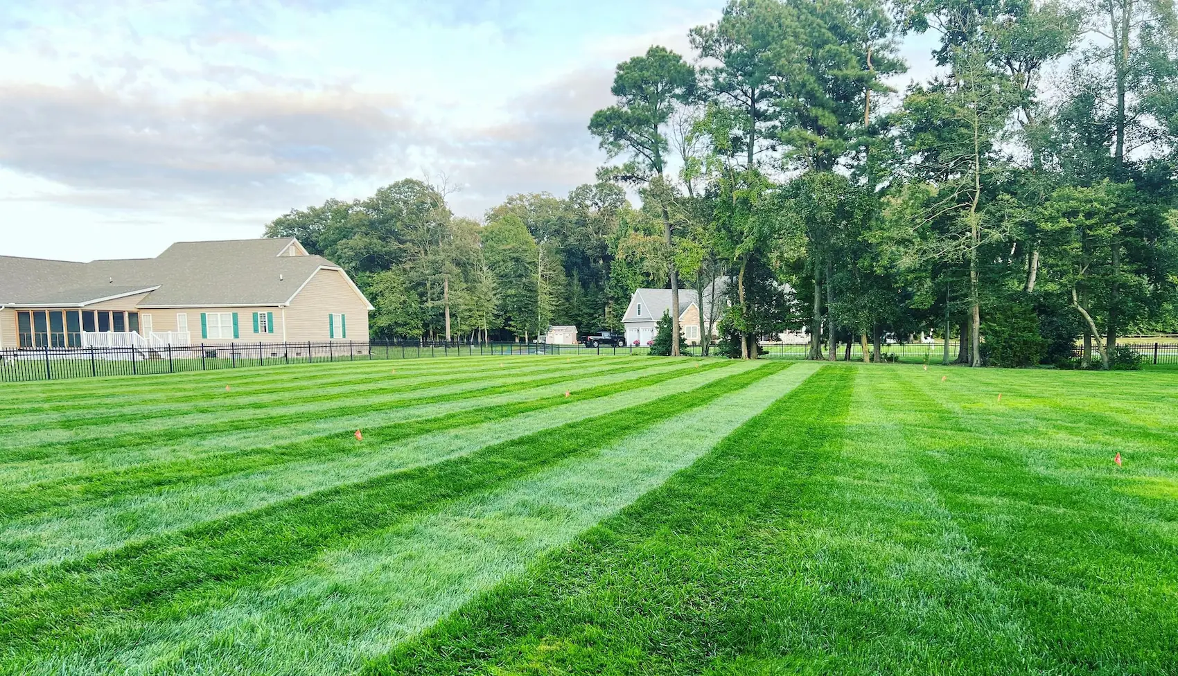 Premium striped lawn Harvest Turf Care Sussex County DE